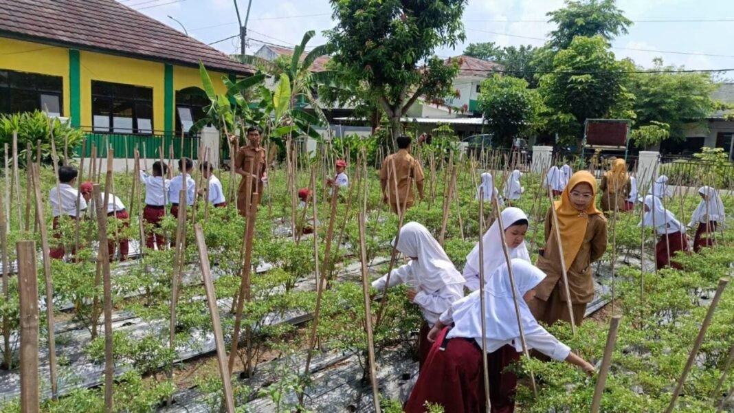 BPP Pebayuran Ajak Siswa SD Kenali Dunia Pertanian Melalui Program Edufarming